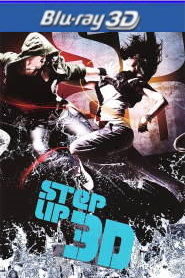 Step Up 3D 2010