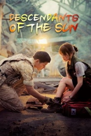 Descendants of the Sun 📺