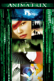 The Animatrix 🎬
